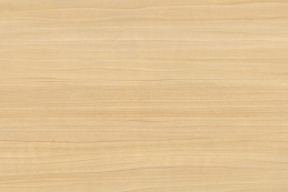 whitewood_american_c